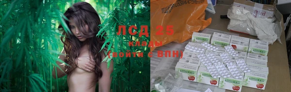 2c-b Болотное