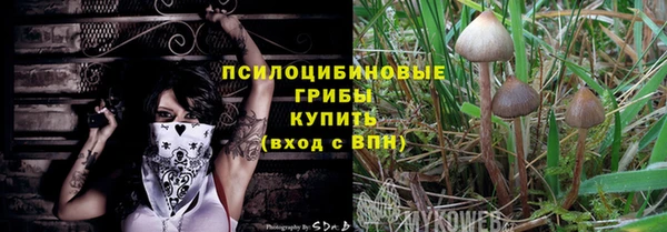 дурь Краснотурьинск