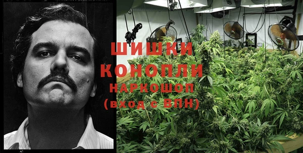 дурь Краснотурьинск