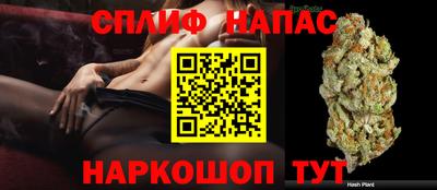 альфа пвп Кингисепп