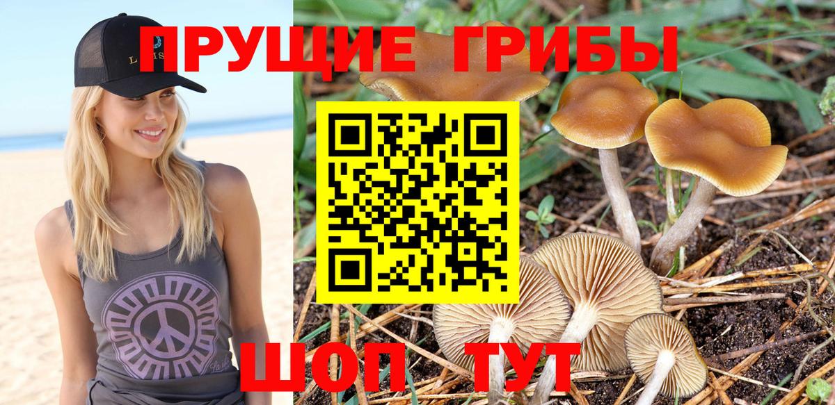 Кодеин Мыски