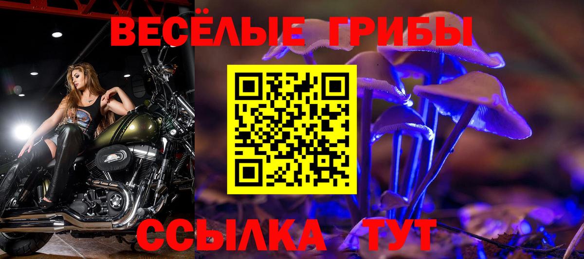 Галлюциногенные грибы мицелий Мыски